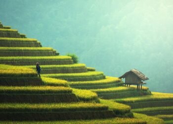 Sustainable Sips: Eco-Friendly Drinks to Nourish the Planet