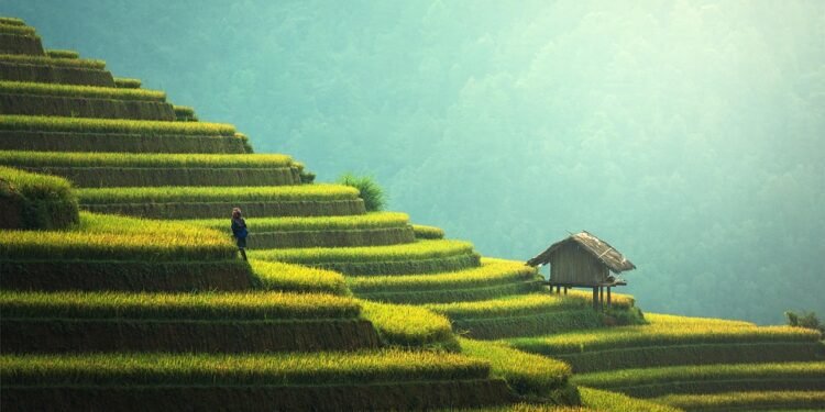 Sustainable Sips: Eco-Friendly Drinks to Nourish the Planet