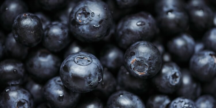 Healthy Delights: Quick Air Fryer Recipes for Guilt-Free Indulgence