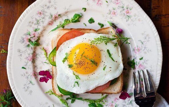 Plant-Powered Plates: Delicious Vegan Meals for Every Palate