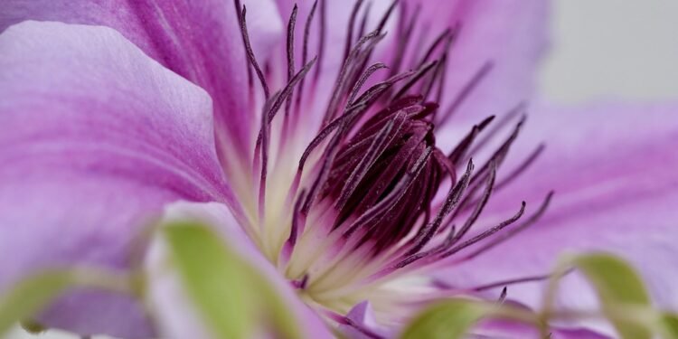 5 Must-Try Air Fryer Chicken Recipes for Busy Weeknights