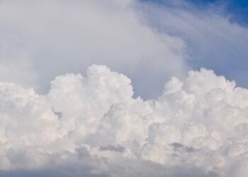 Air Fryer Bliss: Whip Up These Easy Recipes in No Time!