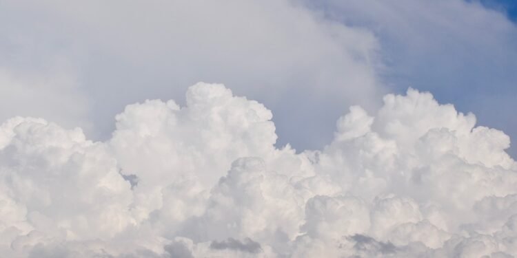 Air Fryer Bliss: Whip Up These Easy Recipes in No Time!