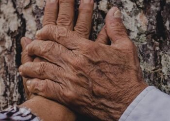 A History of Spirits: How Distillation Shaped Our Drinking Culture