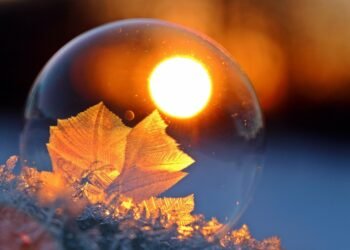 From Frozen to Fabulous: Easy Air Fryer Recipes for Busy Cooks