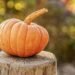 Seasonal Smoothies: Fresh Ingredients for Every Season