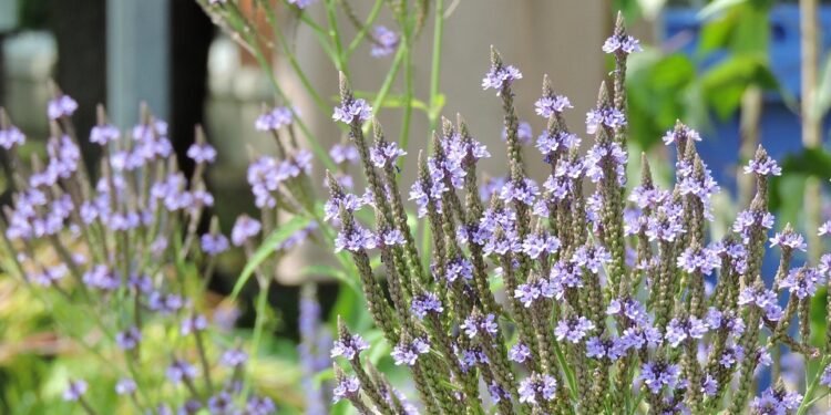 Hasty Delights: Whip Up These Tasty Recipes in No Time!