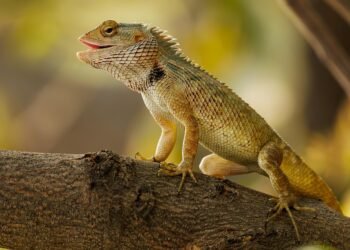 From Garden to Table: Seasonal Recipes for a Healthier You