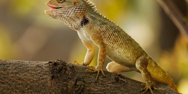 From Garden to Table: Seasonal Recipes for a Healthier You