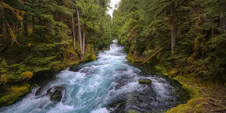 Rapid Recipes: Satisfy Your Cravings in 10 Steps or Less!