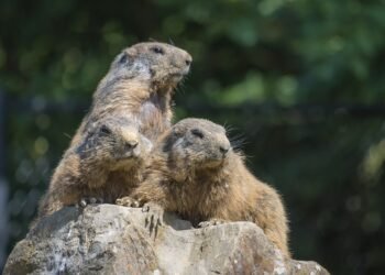 Mindful Eating: Enjoy These Healthy and Delicious Recipes for Balance