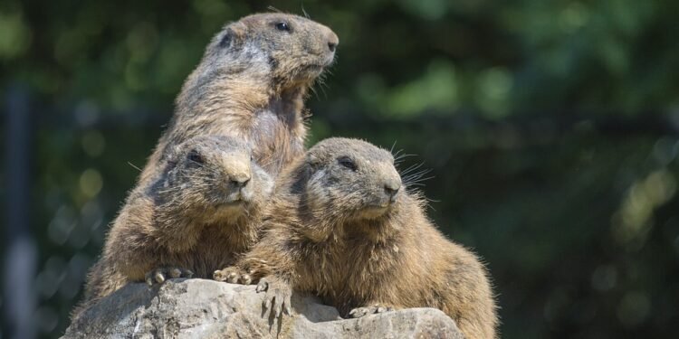 Mindful Eating: Enjoy These Healthy and Delicious Recipes for Balance