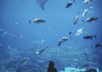 One-Pot Wonders: Easy Recipes for Stress-Free Cooking