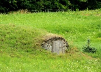 From Pantry to Plate: Easy Recipes Using What You Already Have
