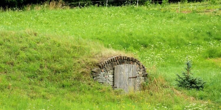 From Pantry to Plate: Easy Recipes Using What You Already Have