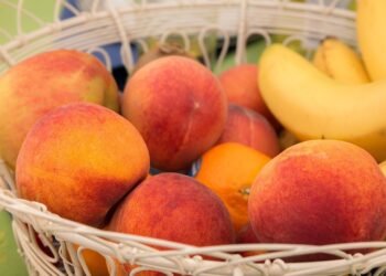 Meal Prep Made Easy: Your Guide to a Week of Healthy Eating