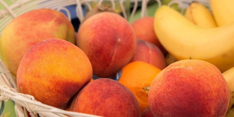 Meal Prep Made Easy: Your Guide to a Week of Healthy Eating