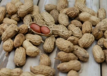 Snack Smart: Wholesome Options for Healthy Munching Between Meals