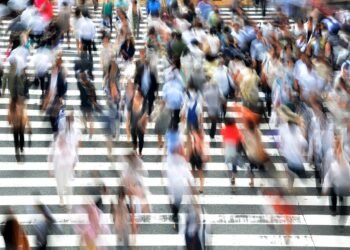 Fast and Fresh: Quick Dinner Recipes You'll Love