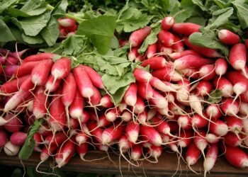 From Veggies to Proteins: Delicious Air Fryer Recipes for Every Diet