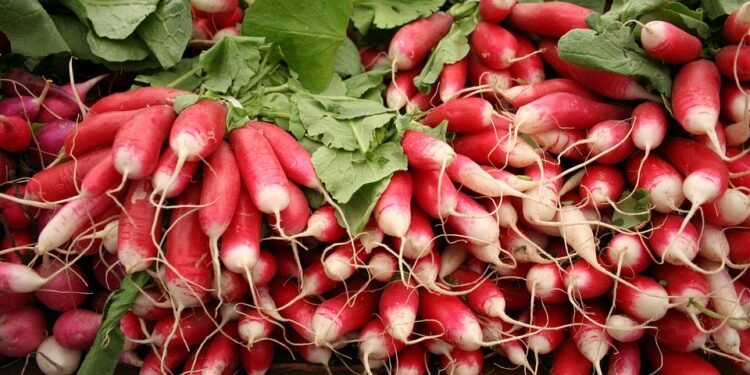From Veggies to Proteins: Delicious Air Fryer Recipes for Every Diet