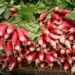 From Veggies to Proteins: Delicious Air Fryer Recipes for Every Diet