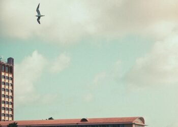 Sip Your Way to Health: 10 Irresistible Smoothie Recipes