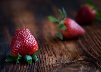 Fresh & Fast: Nutritious Recipes for Every Skill Level
