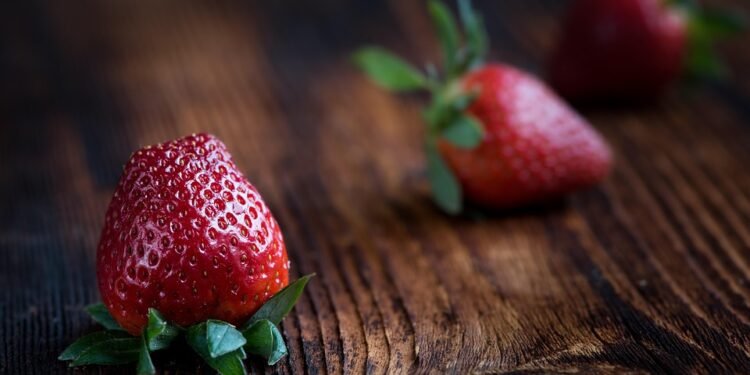 Fresh & Fast: Nutritious Recipes for Every Skill Level
