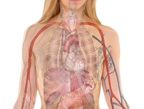 The Science of Brownies: Tips for Baking the Perfect Batch