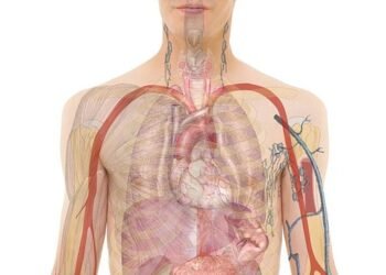 The Science Behind Smoothie Bowls: Nutritional Benefits You Didn’t Know