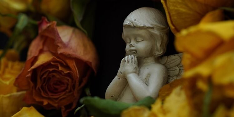 Heartfelt Eats: Discover the Joy of Healthy Comfort Food