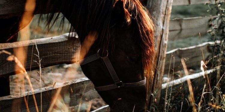 Eating Clean: Simple Swaps for a Healthier Plate