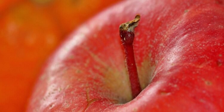 Healthy Hydration: The Ultimate Guide to Nourishing Beverages