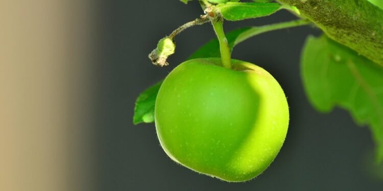 Healthy and Happy: Your Guide to Gluten-Free Cooking