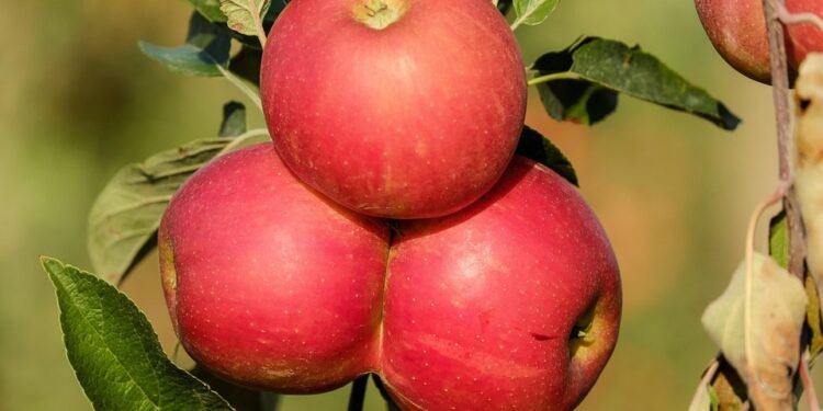 Healthy Eating Made Simple: Top Air Fryer Recipes for Guilt-Free Indulgence