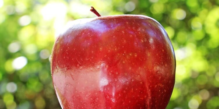 Fresh & Fruity: Creative Desserts That Showcase Seasonal Fruits