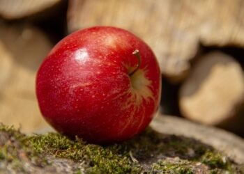 Healthy Dinners Made Simple: 7 Easy Recipes for the Health-Conscious Cook