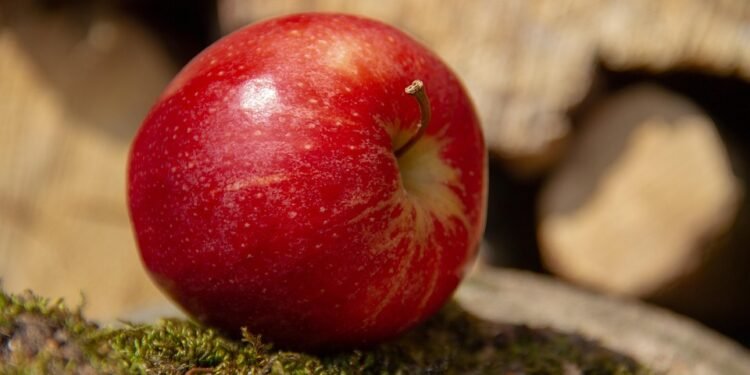 Healthy Dinners Made Simple: 7 Easy Recipes for the Health-Conscious Cook