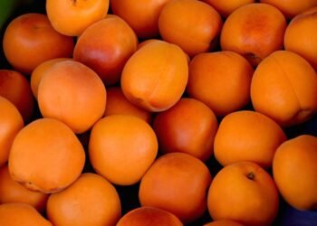 Wholesome and Delicious: Discover the Power of Whole Foods