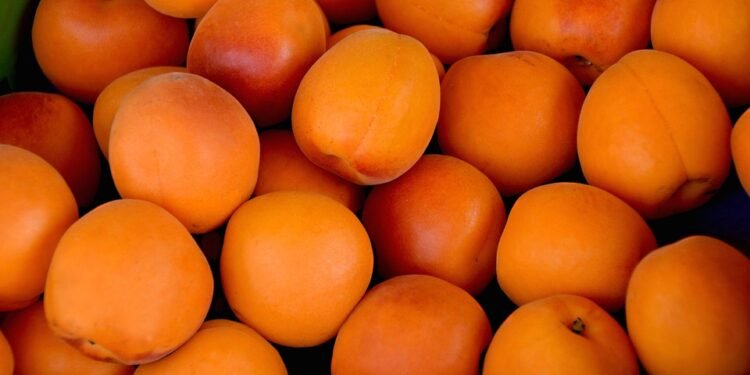 Wholesome and Delicious: Discover the Power of Whole Foods