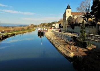 From Pantry to Plate: Easy Dinner Recipes Using Everyday Ingredients