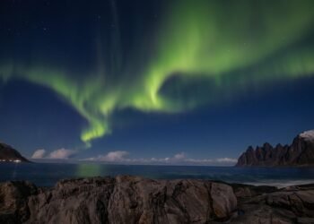 One-Pot Wonders: Effortless Recipes for Stress-Free Cooking