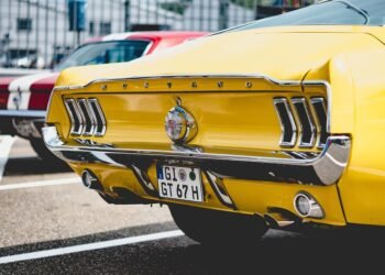 From Classic to Crazy: Smoothie Ideas to Suit Every Palate