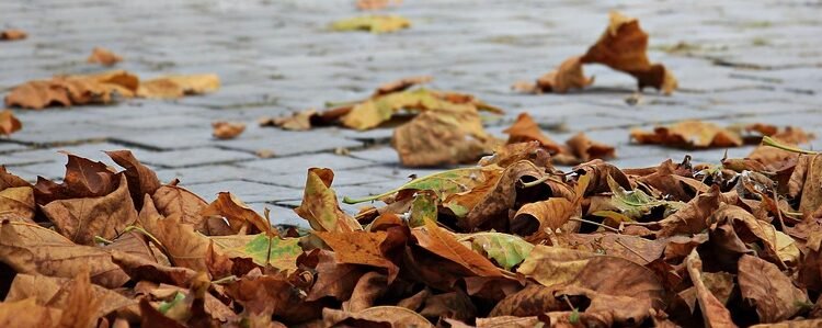 Golden Goodness: Air Fryer Breakfast Ideas That Will Make You Want to Wake Up Early