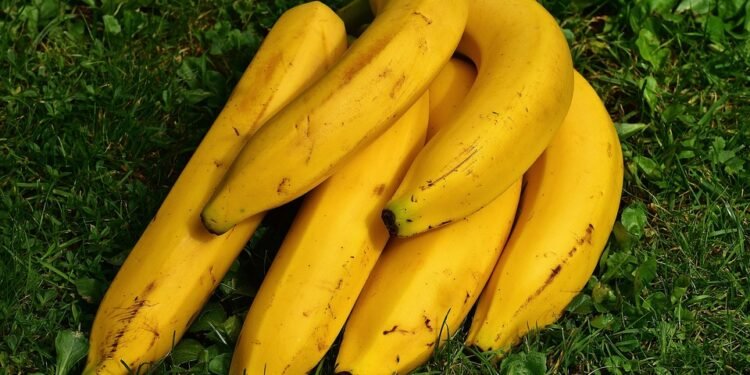 Healthy & Hearty: Nutritious Air Fryer Breakfast Recipes You'll Love