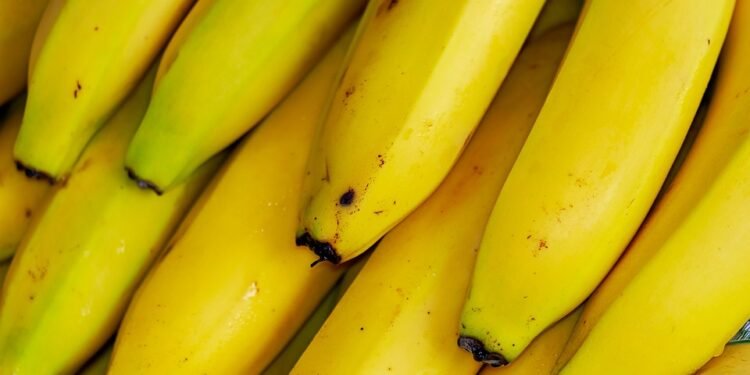 Tropical Bliss: Smoothie Recipes That Will Transport You to Paradise