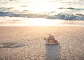 Summer Sips: Top Trending Drinks You Need to Try This Season