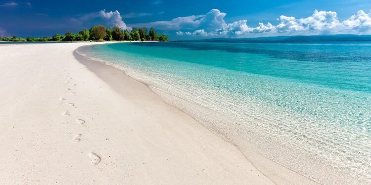 Tropical Temptations: Explore Exotic Fruit Desserts from Around the World