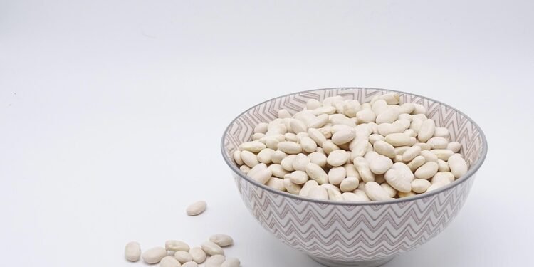 Protein Smoothies: Your New Secret Weapon for Weight Loss